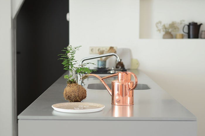 Solid Surface Countertops