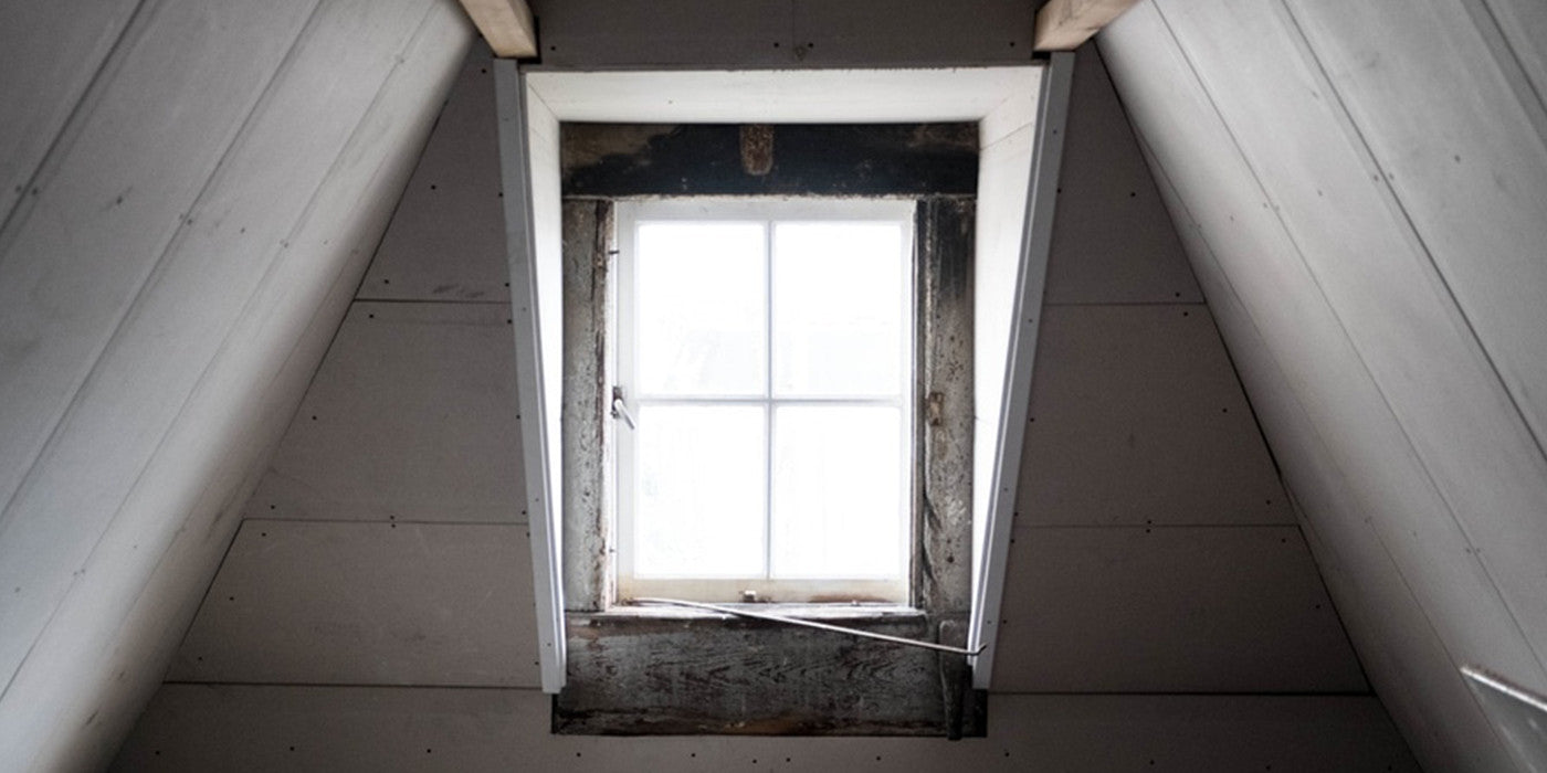 What's In The Attic?