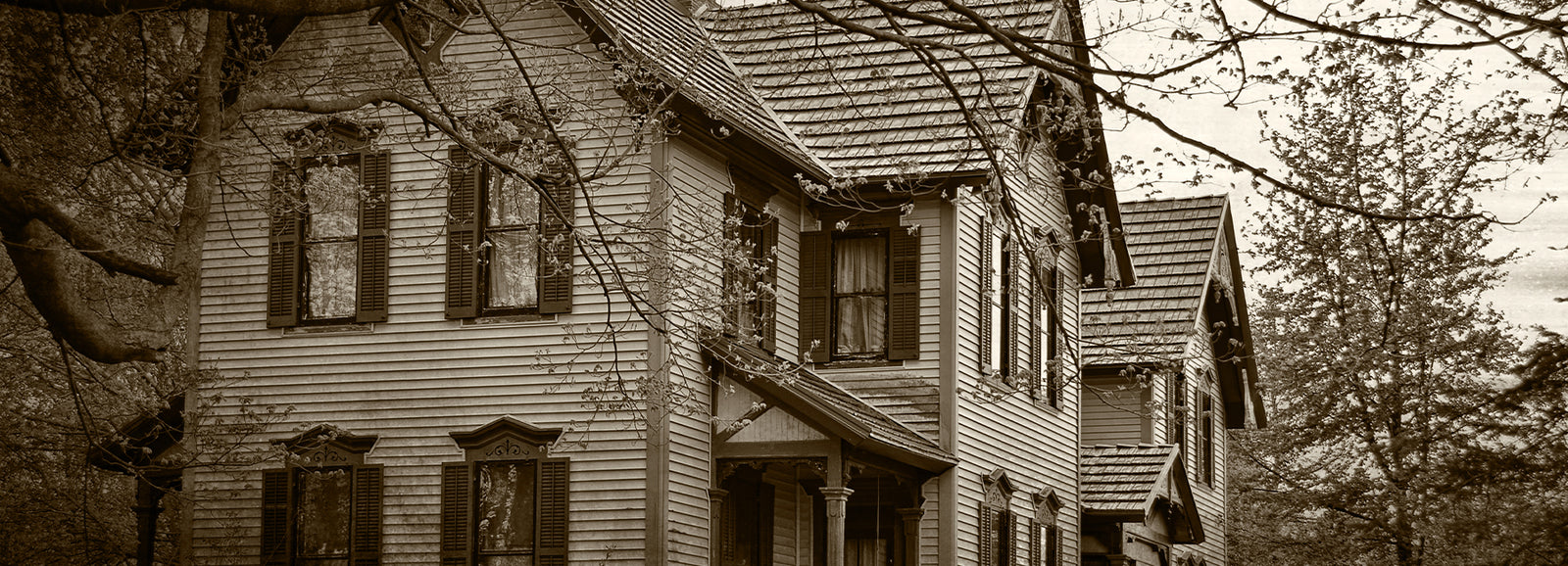 It was coming from the basement...