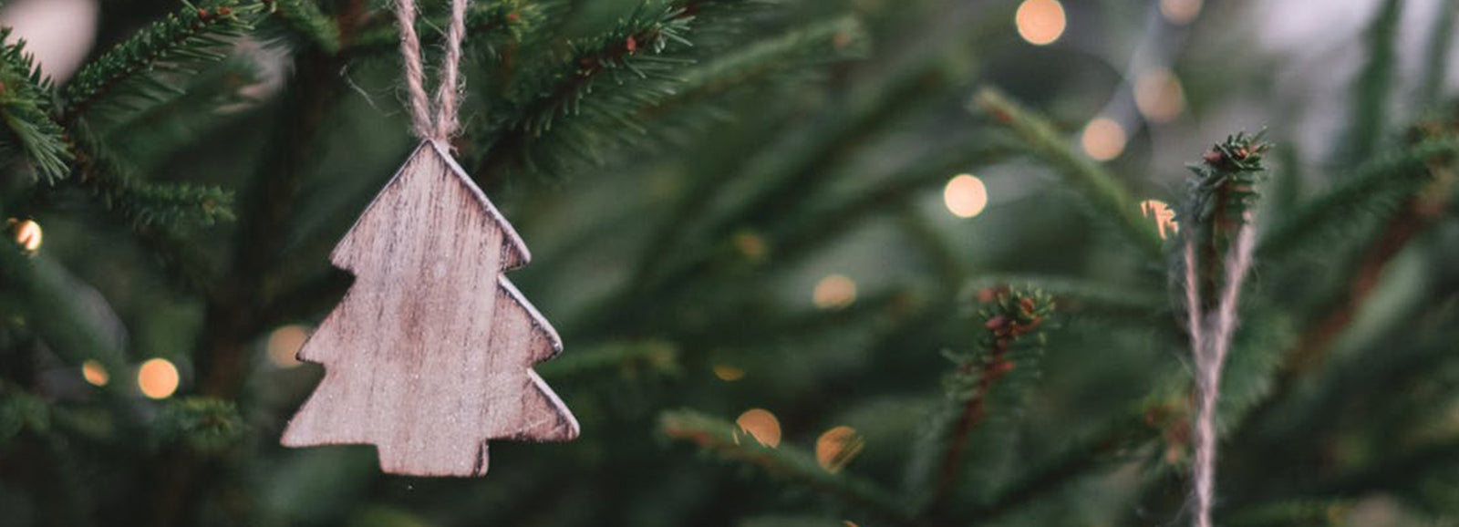 Home for the Holidays