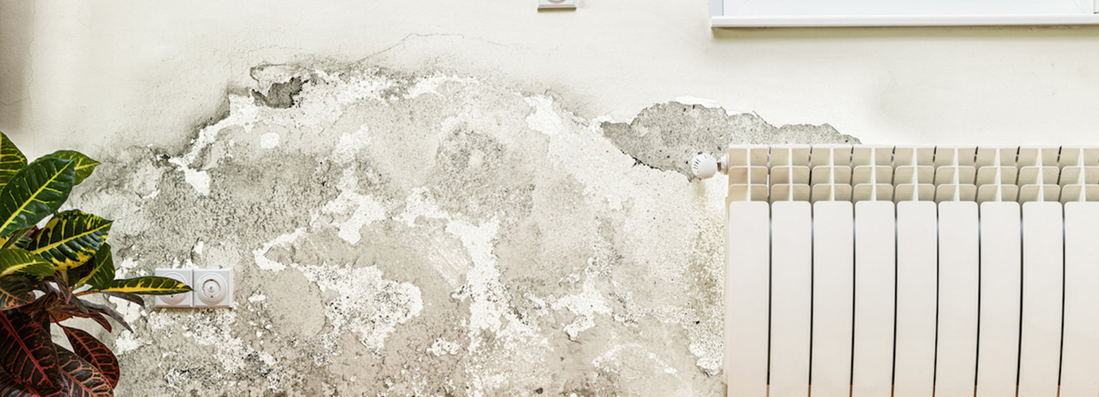 8 Scariest Renovation Mistakes