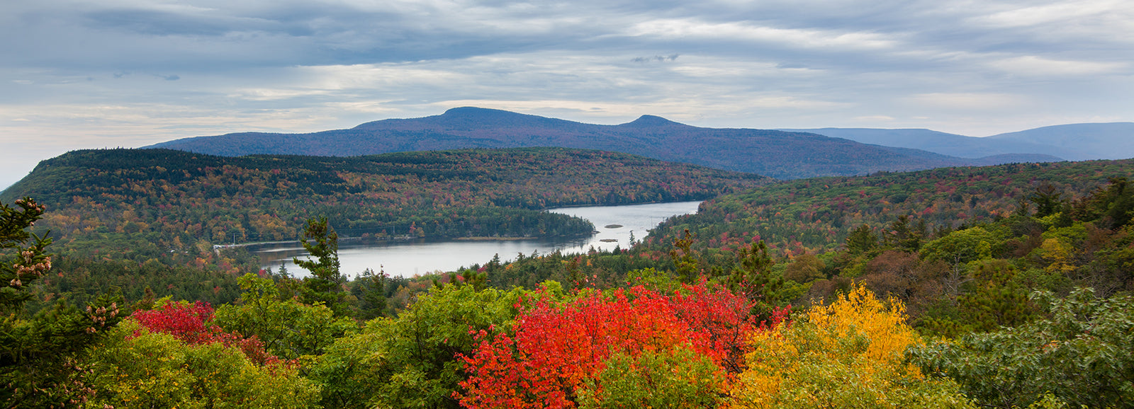 5 Things To Be Thankful For