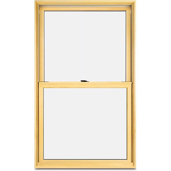 Marvin Elevate New Construction Double hung Window