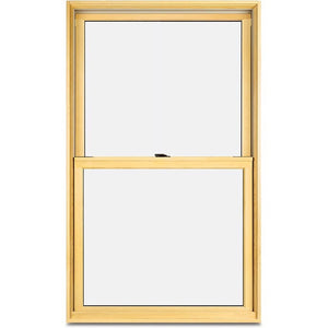 Marvin Elevate New Construction Double hung Window